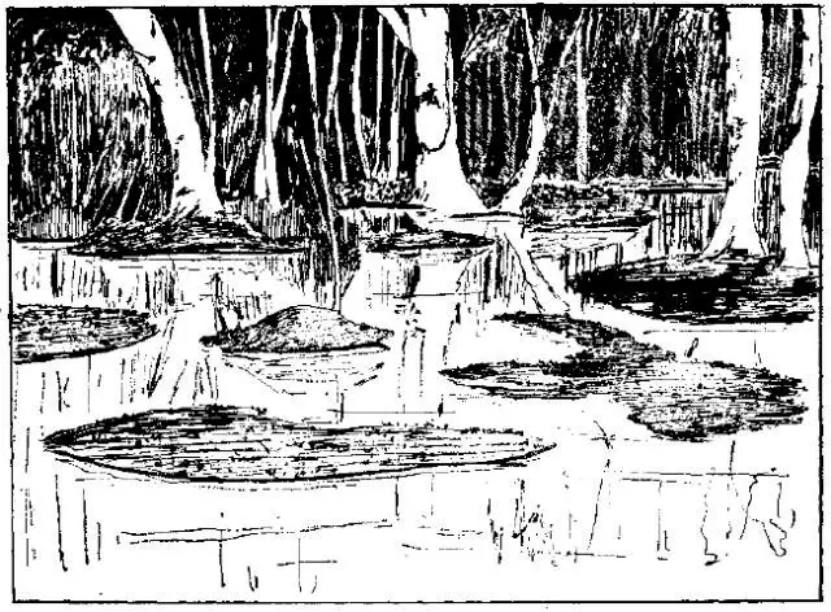 盤點(diǎn)各類地質(zhì)地貌類型-地?zé)豳Y源開(kāi)發(fā)-地大熱能